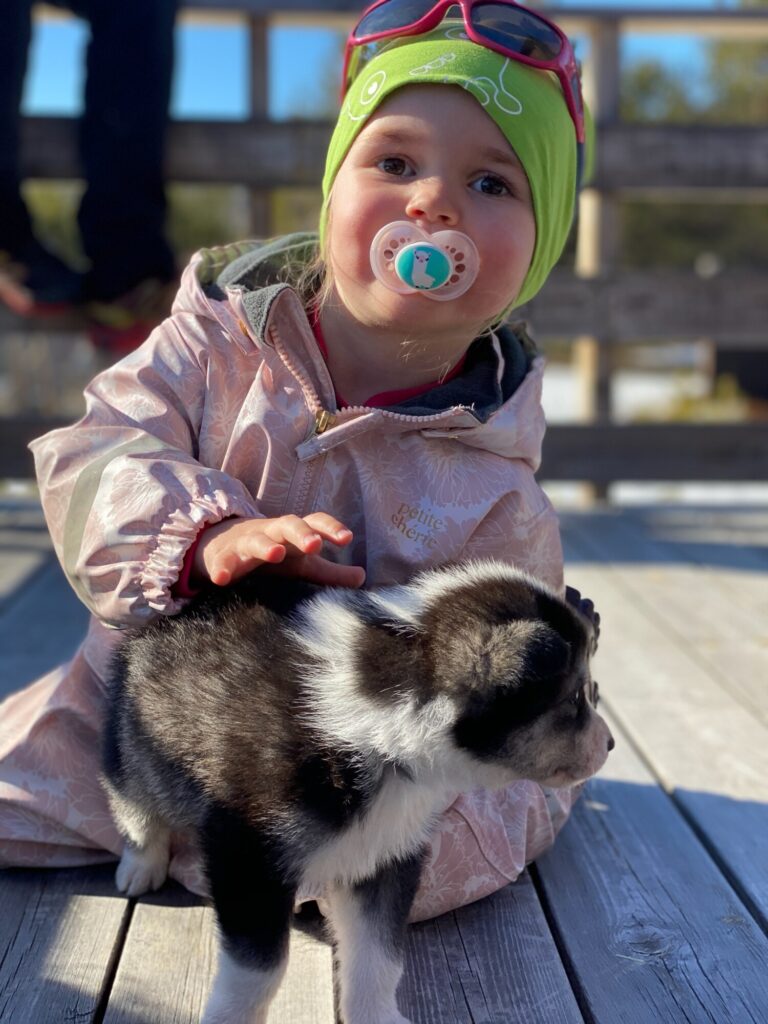 Søt jente kosar med hundekvalp på Jotunheimen Husky Lodge